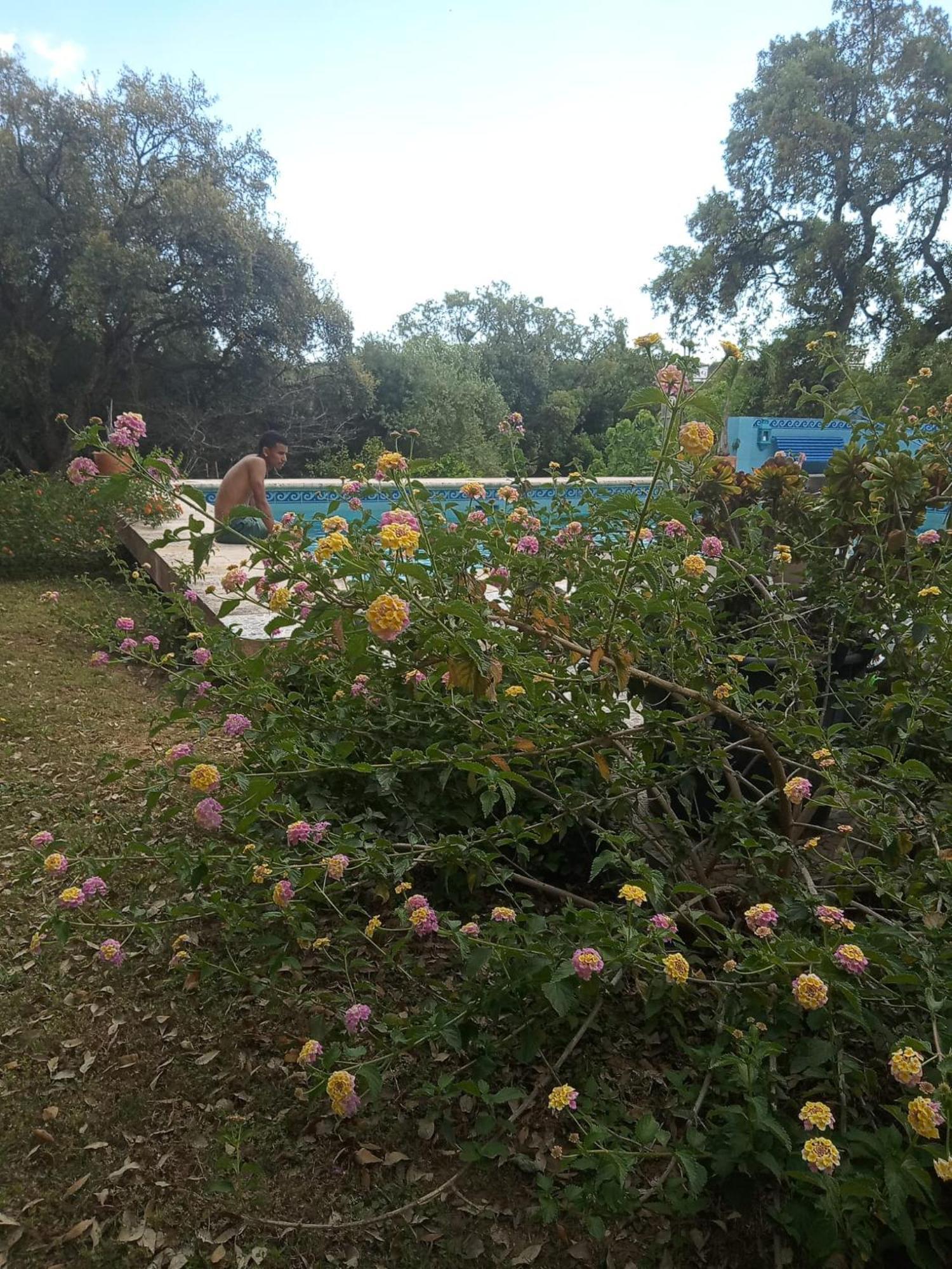 Sotogrande. Estancia Privada En Plena Naturaleza Kültér fotó