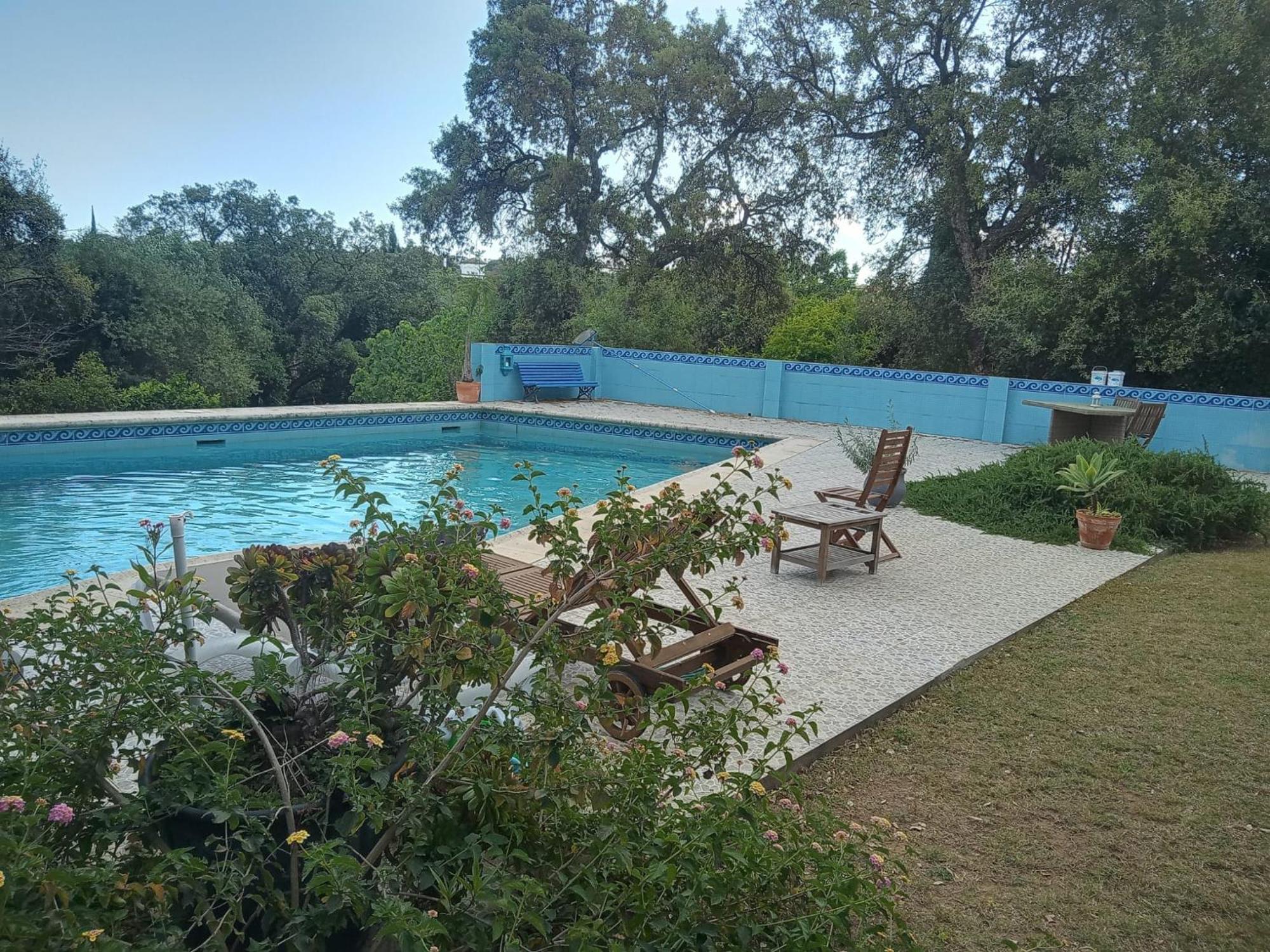 Sotogrande. Estancia Privada En Plena Naturaleza Kültér fotó